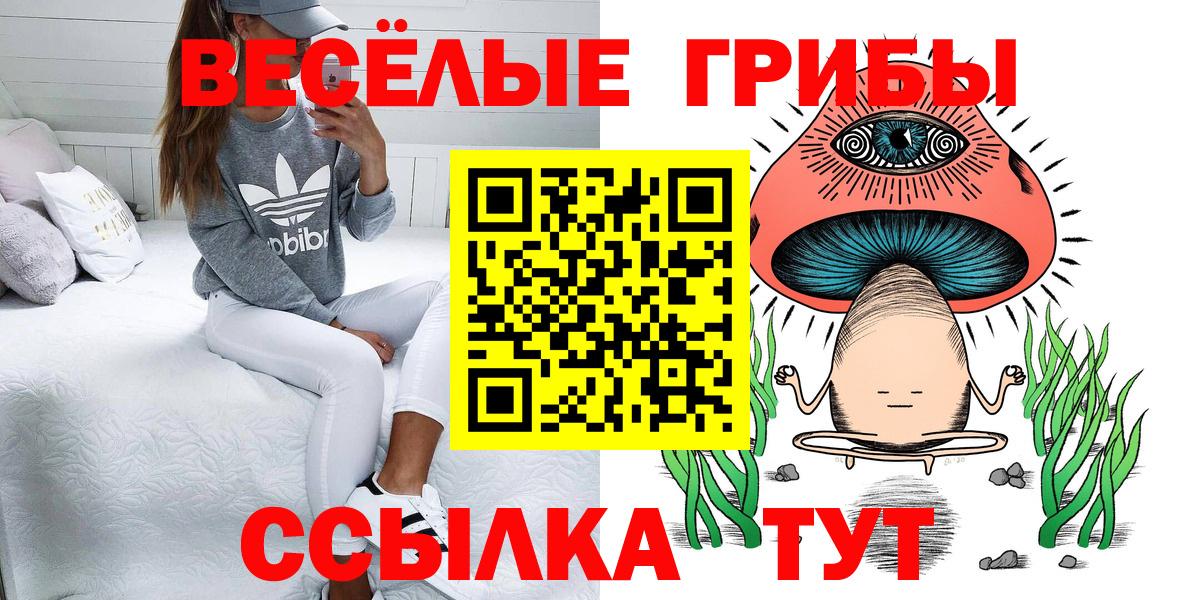 Псилоцибиновые грибы мицелий Москва