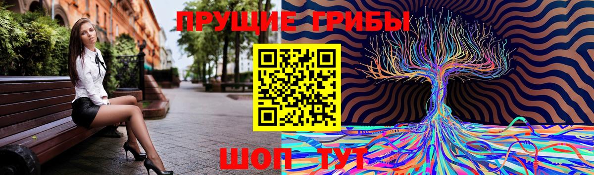 Москва  Псилоцибиновые грибы Psilocybe  Вход с VPN  Псилоцибиновые грибы MAGIC MUSHROOMS 